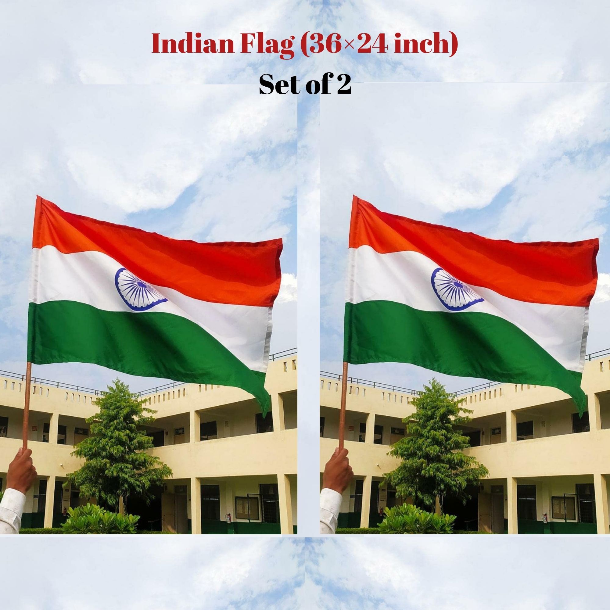 indian-flag-set-of-2-36x24-inc-91x60-cm